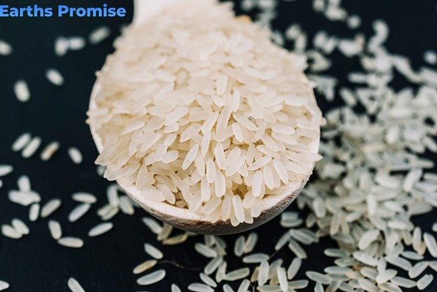 How Organic Arborio White Rice is Shaping American Diets