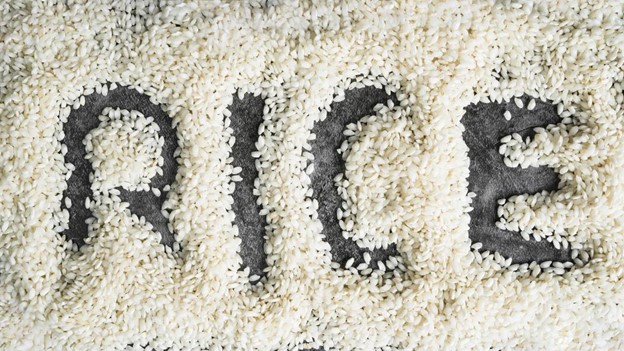 Factors Influencing Organic Rice Price Trends