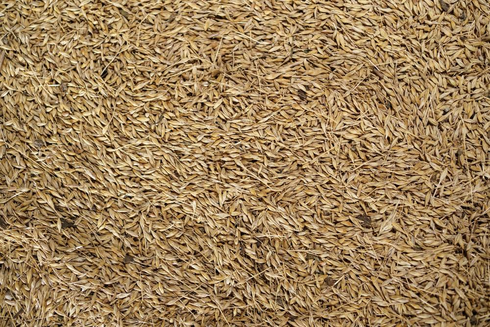 Organic Long Grain Brown Rice: A Nutritional Powerhouse